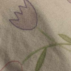 User Profile: littlepurpleflower