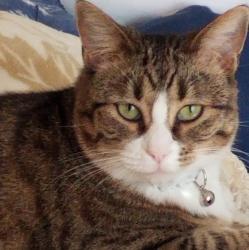 User Profile: Vivian657