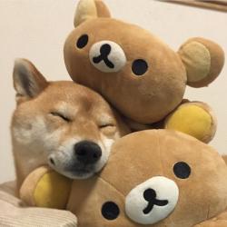 User Profile: bambi1tim