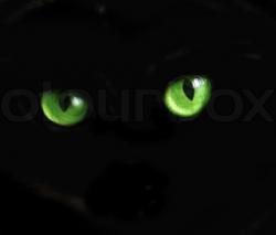 User Profile: quietNight6288
