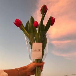 User Profile: adrianagrier99