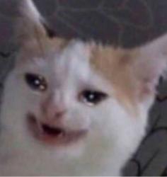 User Profile: i0yawn0a0lot