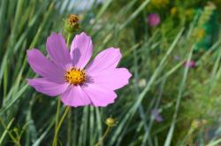User Profile: lateBloomer1957