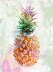 User Profile: OptimisticPineapple459