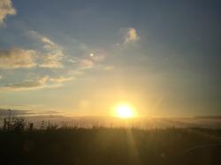 User Profile: Thequietone92