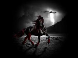 User Profile: VDarkAge