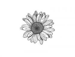 User Profile: fleurdeannie