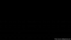User Profile: 11m