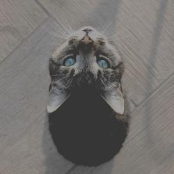 User Profile: onlyhumxn
