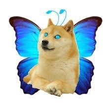 User Profile: butterflymona172004