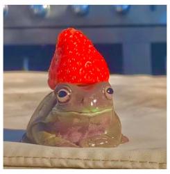 User Profile: scarletSnail2135