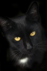 User Profile: Enderia220032