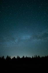 User Profile: SpaceCraved