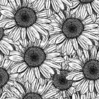 User Profile: Sugarsnapbees