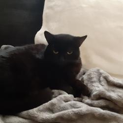 User Profile: amberandersonohio