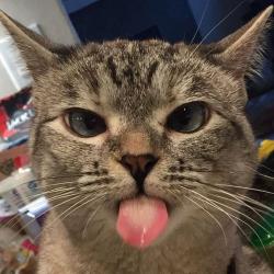 User Profile: emptygowld