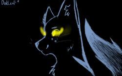 User Profile: QueenOfCrabs