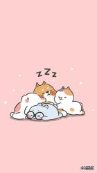 User Profile: catsarelife26