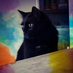 User Profile: warmheartedPlace7925