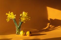 User Profile: BouquetOfDaffodils