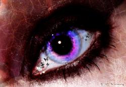 User Profile: WellReadKitten