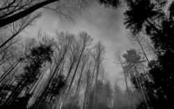 User Profile: BlackHeaven