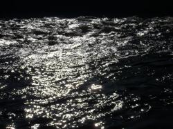 User Profile: BlackWater