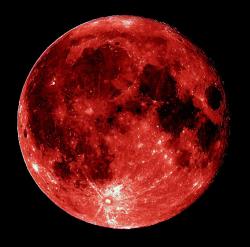 User Profile: bloodmoon80