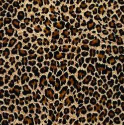 User Profile: jaguarj4r