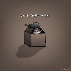 User Profile: considerateBike5576