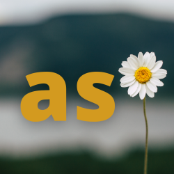User Profile: asb1995