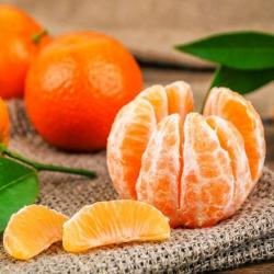 User Profile: friendlyTangerine8933