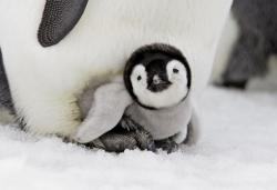 User Profile: Magpie0301