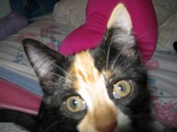 User Profile: areelprincess