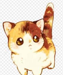 User Profile: SupportKitten11