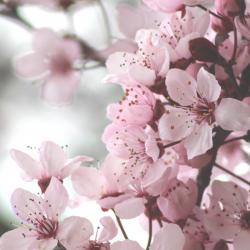 User Profile: RiverGoesBye