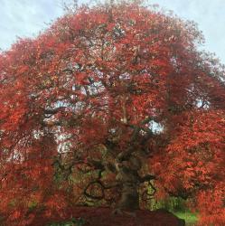 User Profile: naturelover555