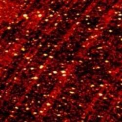 User Profile: redcat29
