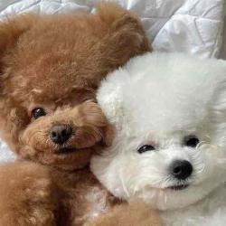 User Profile: daisyfield21