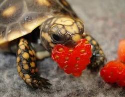 User Profile: lovingSummer9182