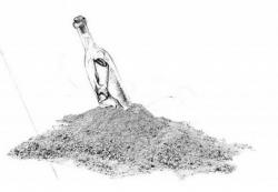 User Profile: covests2