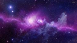 User Profile: PurpleNina