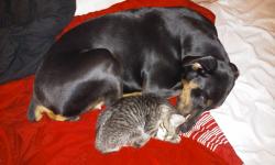 User Profile: Lily0115