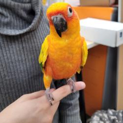 User Profile: BirdKing449