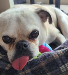 User Profile: AveryMaggs