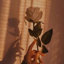 User Profile: justFarheen