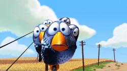 User Profile: bluebirdy