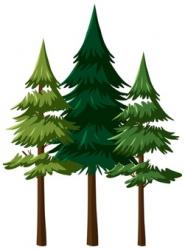 User Profile: GreenWoods