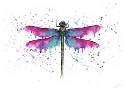 User Profile: DragonflyCounselor