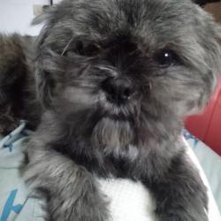 User Profile: NessTheMess